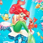 11355147_1605386629750028_822854601_a