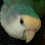 Profile_45109904_75sq_1335069428