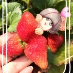 11375166_136299870042055_484213171_a