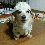 11247860_792692857517175_2143874717_a