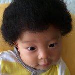 11055500_523291807809655_2048110727_a