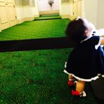 11850076_906567556074931_1247900636_a