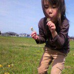 11330819_1627280037518683_1354281700_a