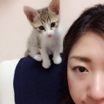 11376415_1435215683464105_408500156_a