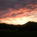 11856623_502419466599396_781301188_a