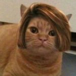 11377443_484233675066640_423959366_a