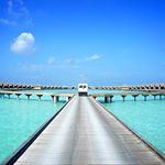 11356636_821910247930652_1175501994_a