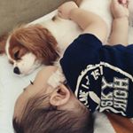 11850056_885932594815194_499242893_a