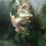 11881858_1483223758664353_400936206_a