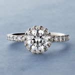 11426222_882319951850270_1907631907_a