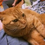 11269633_1634734813411047_918458679_a