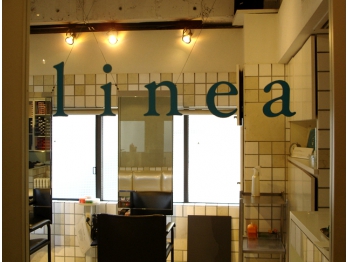 イマイリネア（imaiilinea)