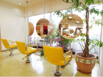 Hair&Make Creator SACT