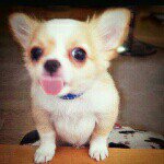 11272936_730408397069424_1004608007_a