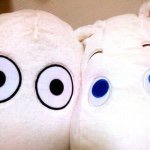 10899106_294550554002174_1105623874_a