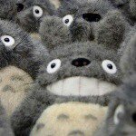 10914135_404561536385566_640095149_a