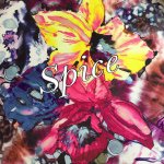 11358959_840301216038415_900479072_a