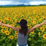 11348141_661023920699165_1451649018_a