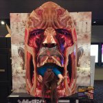 11326596_784909518292392_1482666711_a