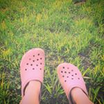 11327232_1060101414009248_1623624692_a