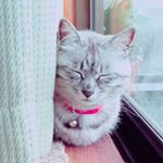 11856681_557356591085315_1929482686_a