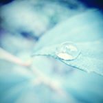 11821272_780954508693015_69929876_a