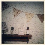 11417425_1619068728364846_865621192_a