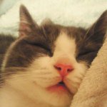 10735425_1493134974275645_1913172294_a