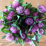 11378218_927958243942523_756157715_a