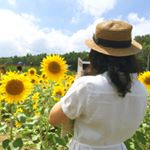 11349380_901805316557139_230516707_a