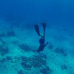 10661209_639422726157143_424303674_a