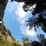 11327209_845615195517728_1507291728_a