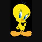 11910152_772237996216176_1188011785_a