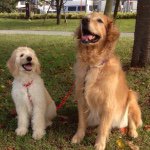 10723756_528103023993747_681029166_a