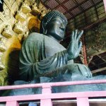 11007811_1618699715008184_159886756_a