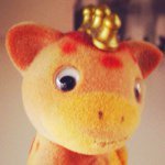 11374256_1677483495818700_1163317308_a