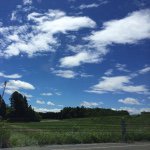 10661183_646250395489946_2028958788_a