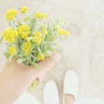 11821151_472535766248296_1266893327_a