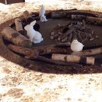 11856634_1721523984734302_2024285328_a