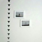 11950469_1626663130931717_622887870_a