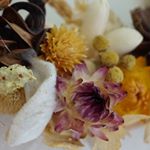 11311256_682768881825113_959132567_a