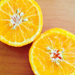 11918050_1486063821705928_796072869_a