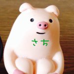 11098542_1580305382254790_92063687_a