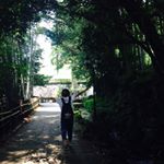 11909303_846926842090358_805036599_a