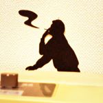 11820727_813955888725871_1215782011_a