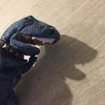 11202988_489399954560943_12588860_a