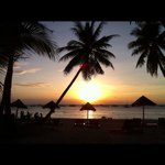 11311396_1462766770695234_1074118604_a