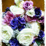 11018534_629045223866606_2125416747_a