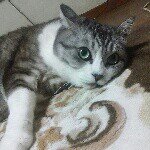 11202984_1471886946465116_2002731974_a