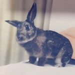 11950500_476100552552918_370173205_a